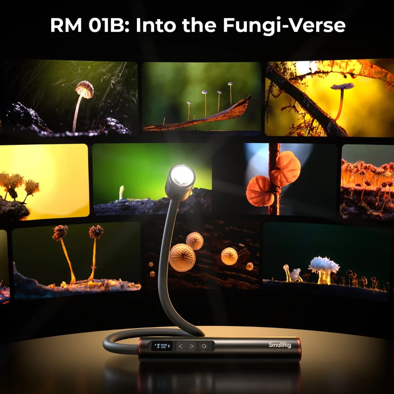 SmallRig RM 01B 매크로 사진 LED 조명  - Photography Lighting Angles 리뷰 및 가격